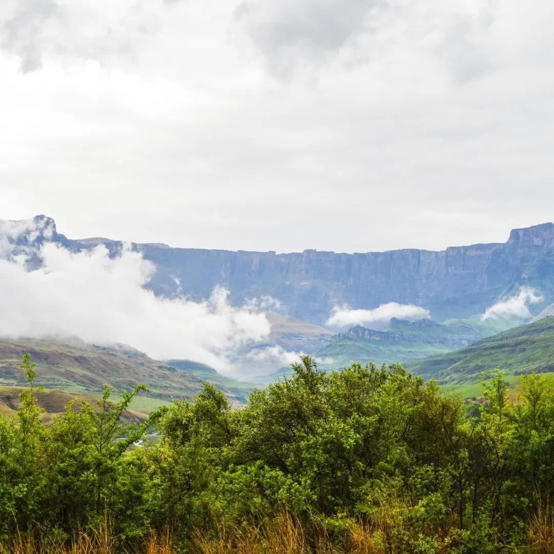 Drakensberg Mountains