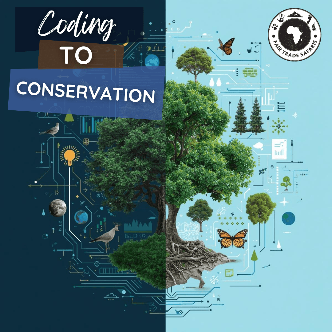 Illustration showing a transition from coding and technology to nature and conservation, symbolized by a growing tree