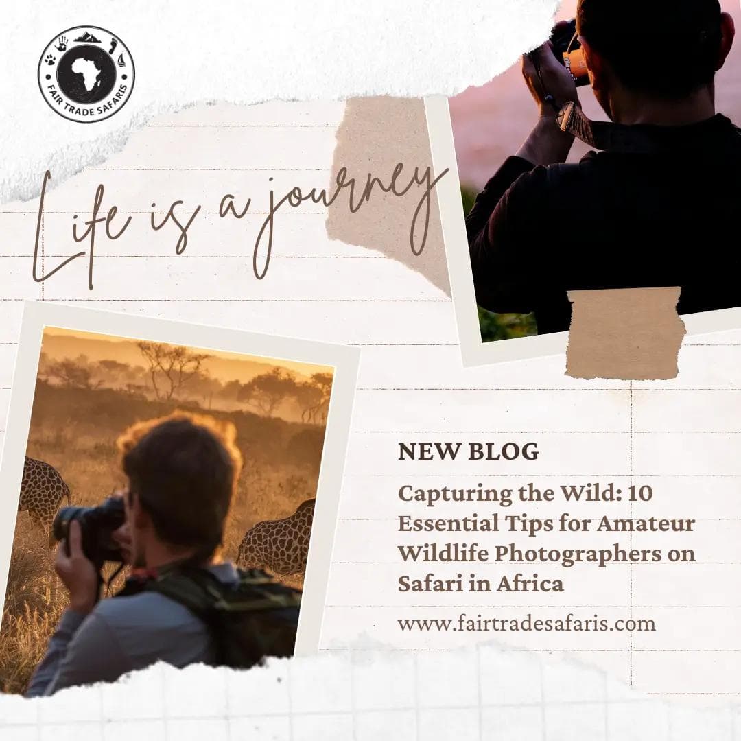 New Blog: Capturing the Wild.