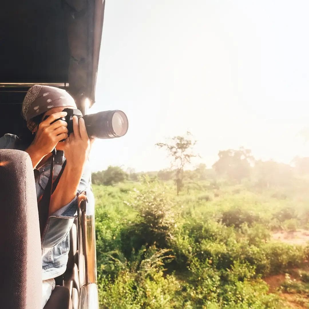 Traveler photographing wildlife from a safari vehicle overlooking a sunlit green landscape.