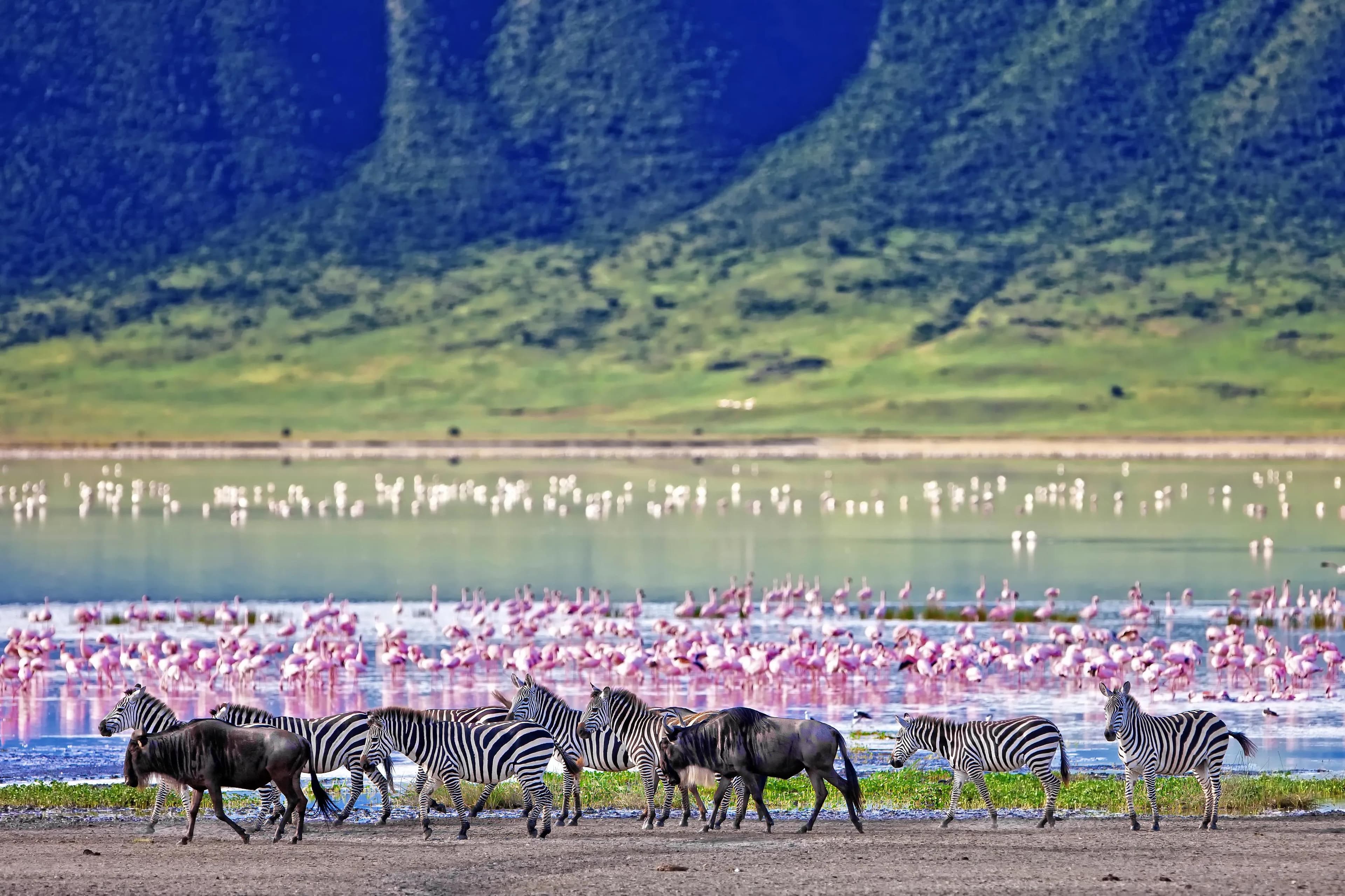Luxury Tanzania Safari: Serengeti & Ngorongoro