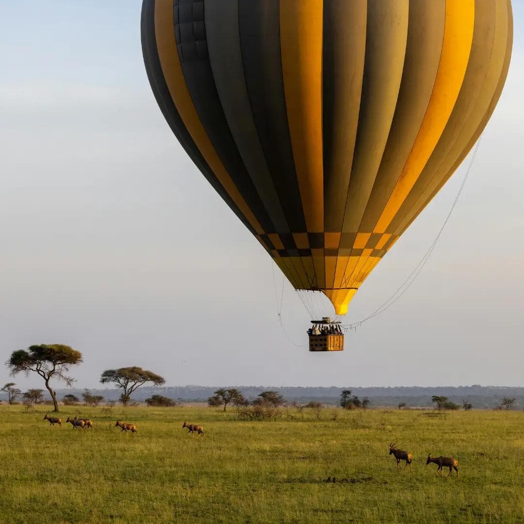 Hot air balloon floating above open grasslands with wildlife below.