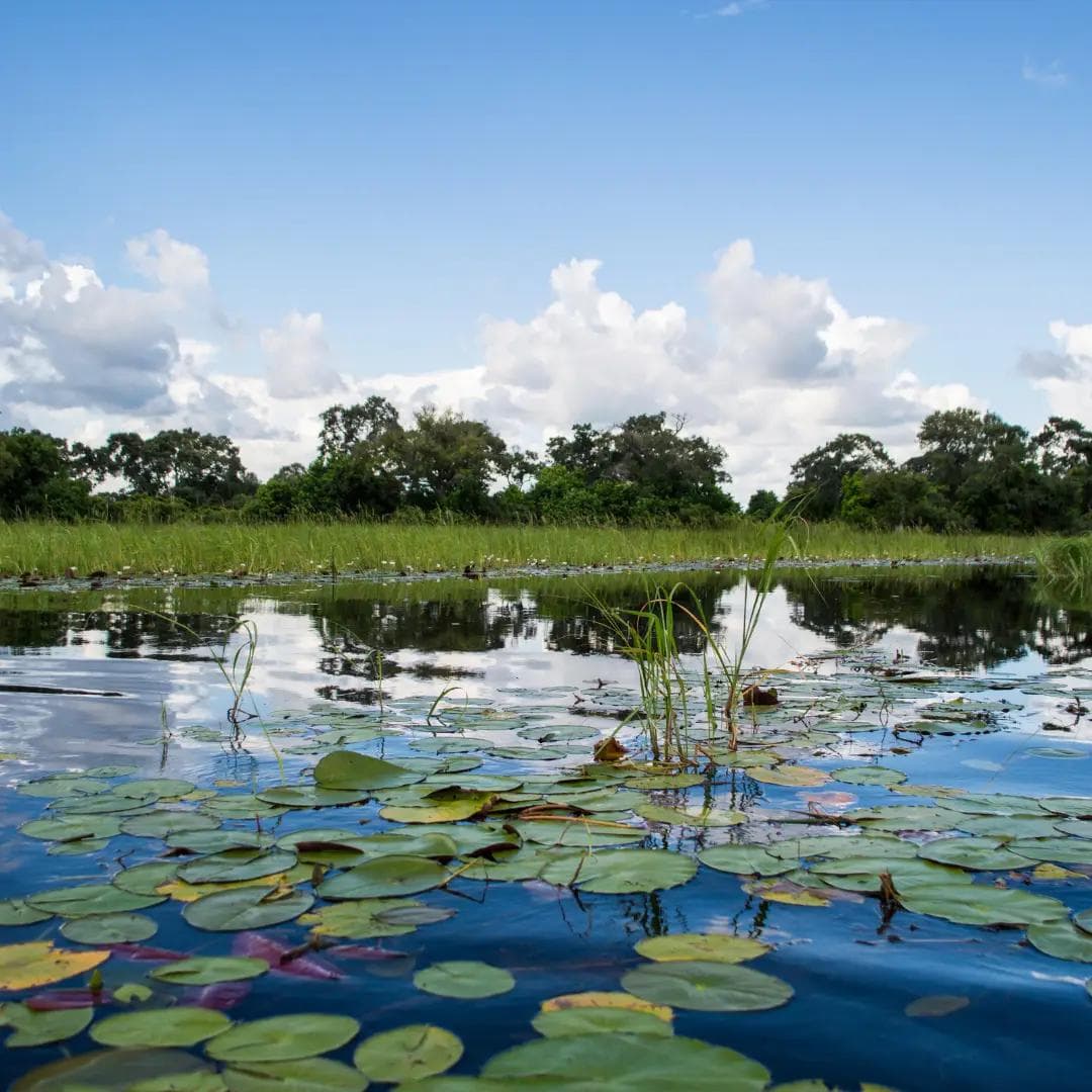 Okavango Delta in a Mokoro