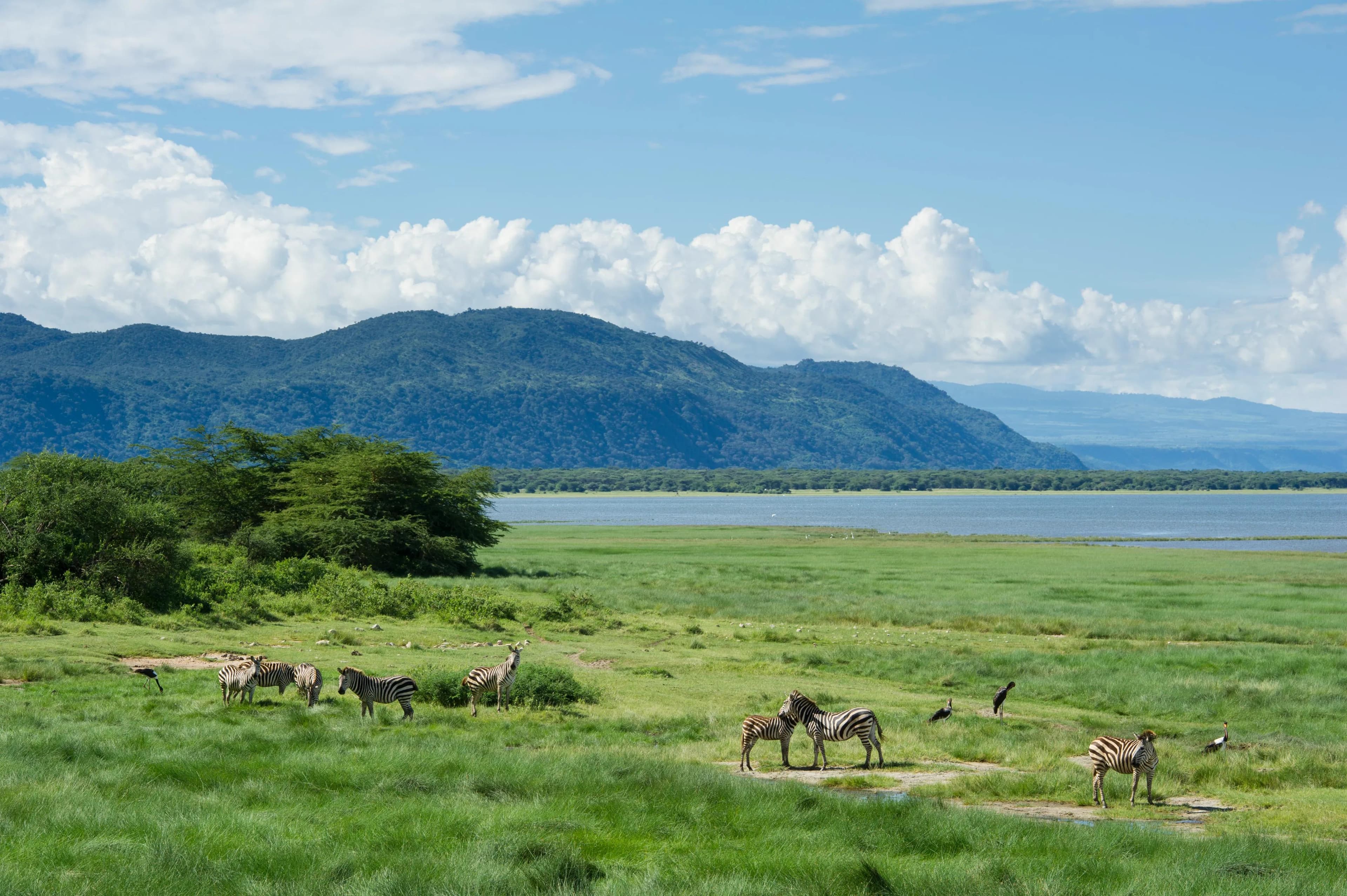 Tanzania Safari: Serengeti to Ngorongoro