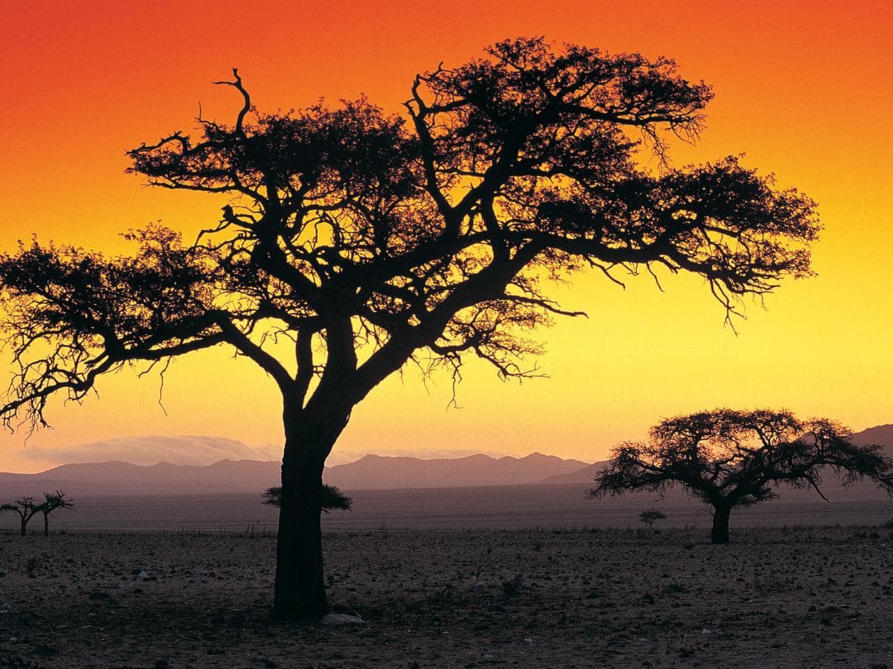 Kenya Safari: Amboseli, Naivasha & Masai Mara